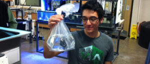 Fish In Bag