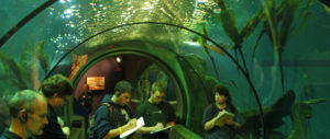 Aquarium