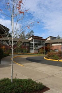 Newport Campus On A Sunny Day