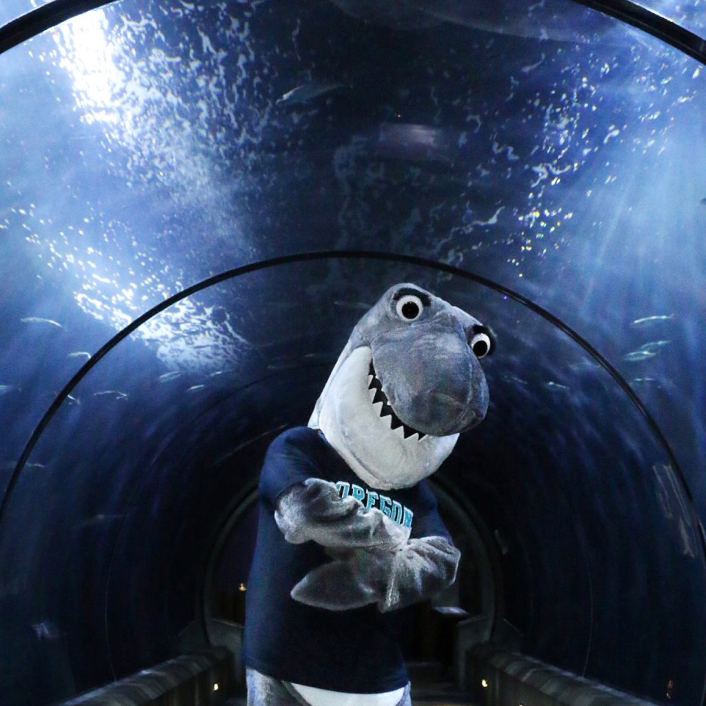 Waverly in a Tunnel