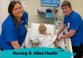 Nursing Art