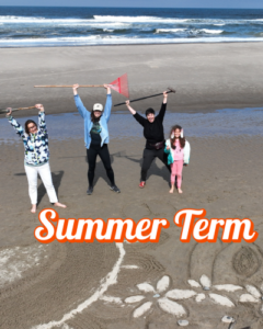 People on the Beach