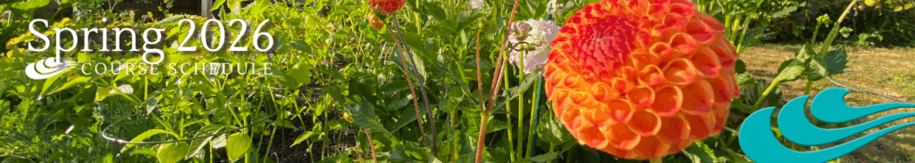 spring banner