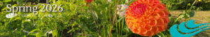 spring banner