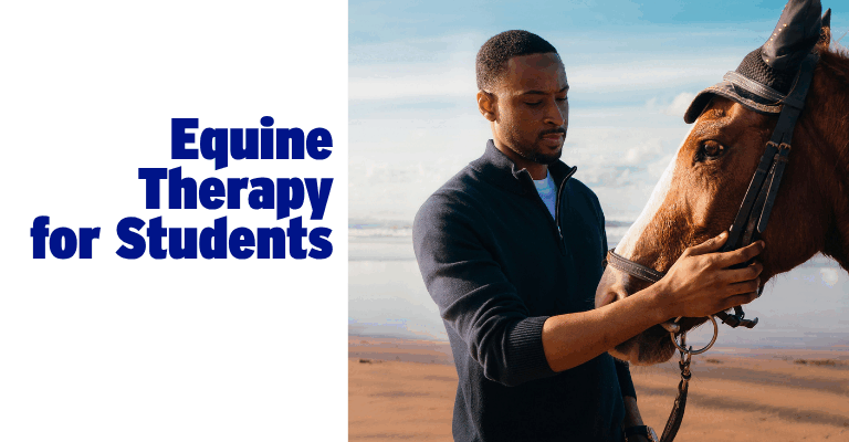 Equine Therapy